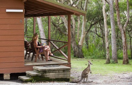 Hungry Head Cabins - Accommodation Resorts 1