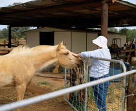  Accommodation Resorts