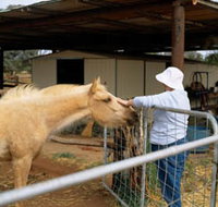 Nallan Station - Accommodation Resorts