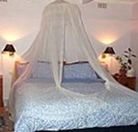 Bondi Beach Garden Sweet - Accommodation Resorts