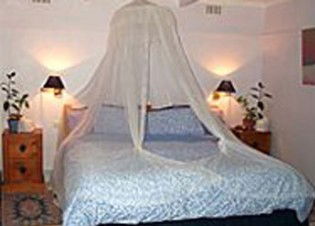 Bondi Beach Garden Sweet - Accommodation Resorts 0