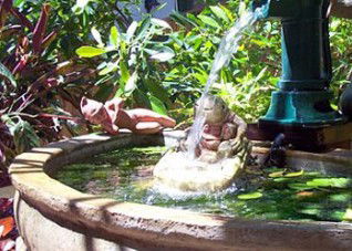 Bondi Beach Garden Sweet - Accommodation Resorts 3