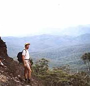 Mimosa Hill Wildflower Farm Cottages - Accommodation Resorts