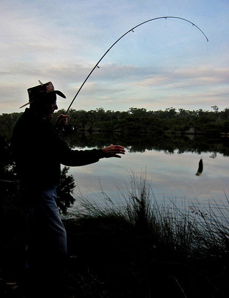 Molloy Caravan Park - Accommodation Resorts 5