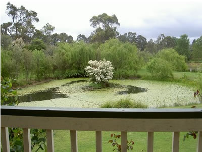 Moss Brook Bed And Breakfast - Accommodation Resorts 1