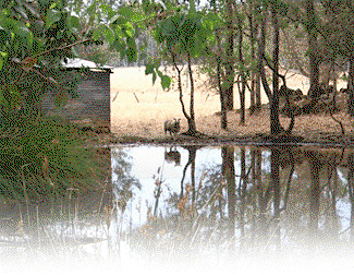 Cambray Cottages - Accommodation Resorts 3