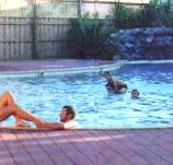 Shark Bay Caravan Park - Accommodation Resorts