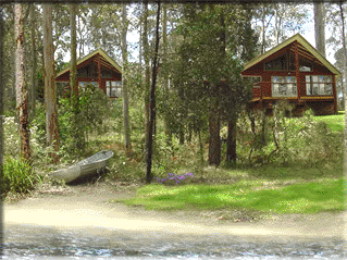 Bewong River Retreat - Accommodation Resorts 4