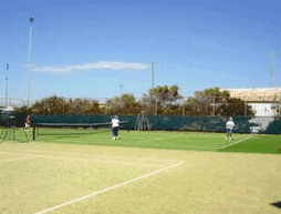 Blacksmiths Beachside Holiday Park - Accommodation Resorts 3