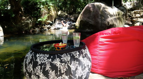 Daintree Secrets Rainforest Sanctuary - Accommodation Resorts 1