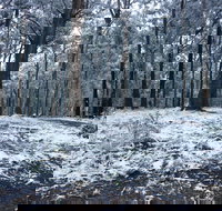 High Peaks Cottages - Accommodation Resorts