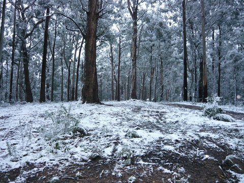 High Peaks Cottages - Accommodation Resorts 0