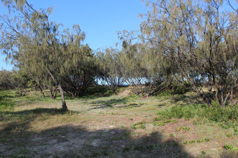 K'gari (Fraser Island) Camping, Great Sandy National Park - Accommodation Resorts 1