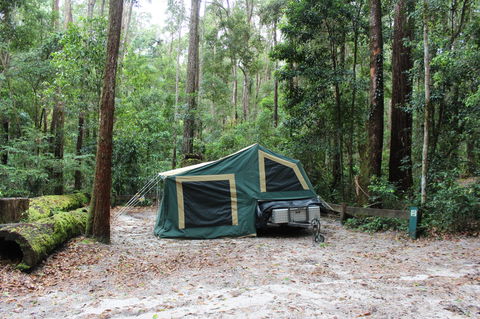 K'gari (Fraser Island) Camping, Great Sandy National Park - Accommodation Resorts 2