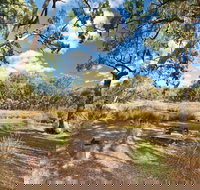 Kings Plains Creek campground - Accommodation Resorts