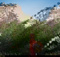 Sandstone Park Carnarvon Gorge - Accommodation Resorts