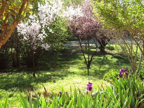 Sofala Cottage - Accommodation Resorts 0