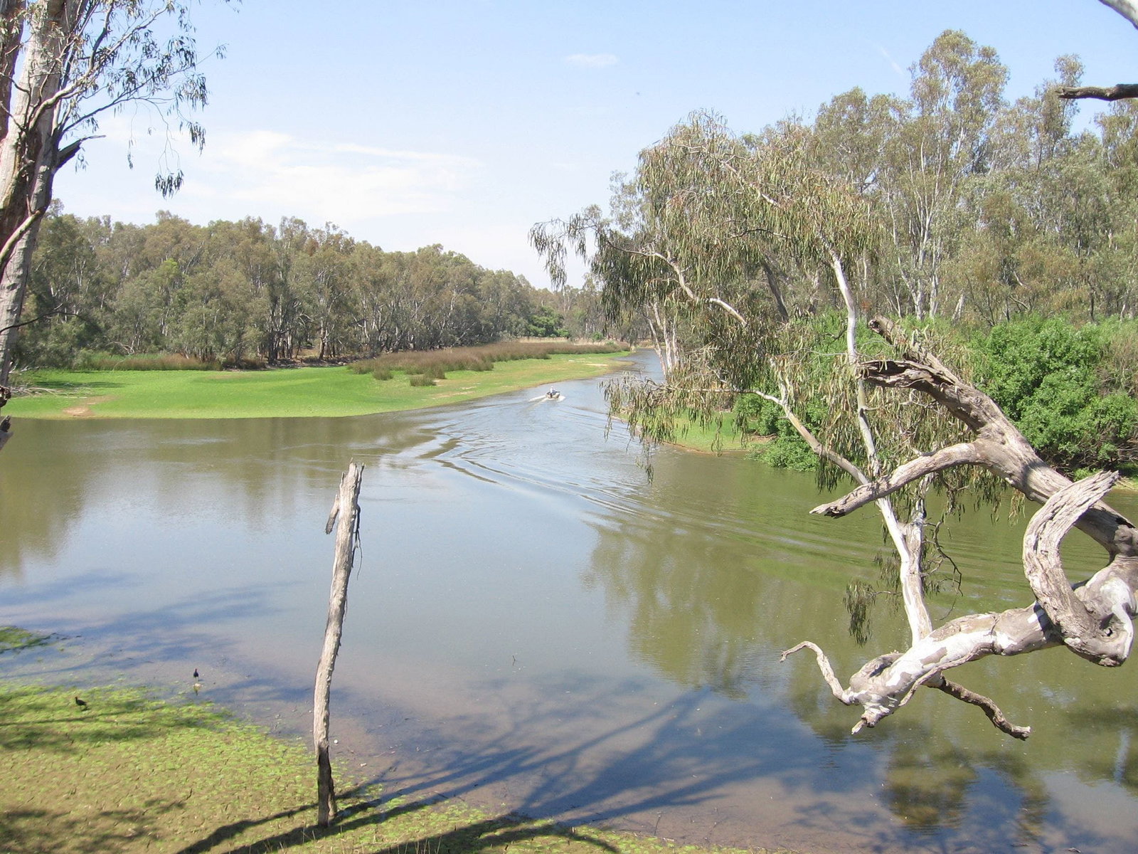 Collendina NSW Accommodation Resorts