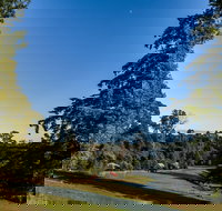 Tin Dragon Trail Cottages - Accommodation Resorts