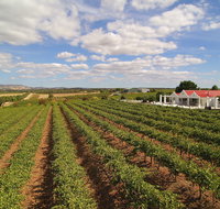 1837 Barossa Luxury Vineyard Cottages - Accommodation Resorts