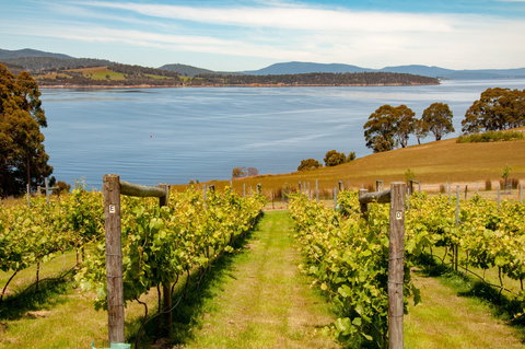 Beaupre Farm - Accommodation Resorts 0