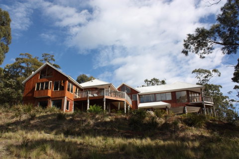Bed In The Treetops - Accommodation Resorts 0