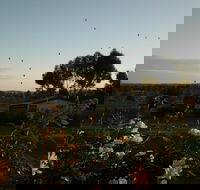 Belubula Cottage Canowindra - Accommodation Resorts