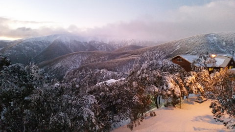 Cedarwood Apartments - Accommodation Resorts 1