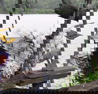 Clyde River Cottage - Accommodation Resorts