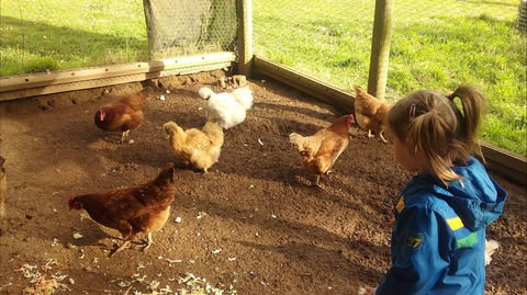 Emerald Park Holiday Farm - Accommodation Resorts 2