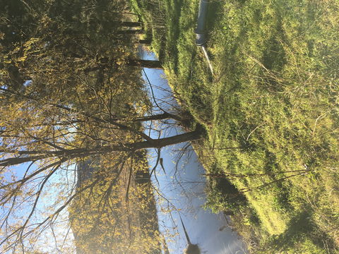 The Old Dairy At Baerami - Accommodation Resorts 1