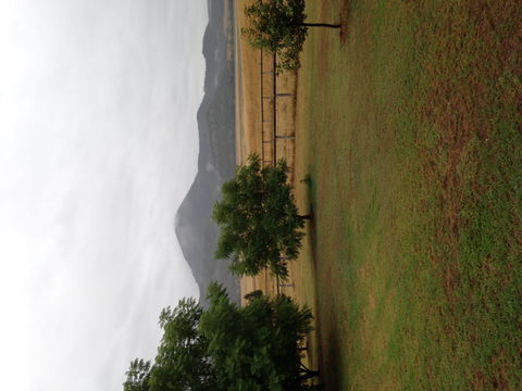 The Old Dairy At Baerami - Accommodation Resorts 2