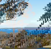 Whale Cove - Accommodation Resorts