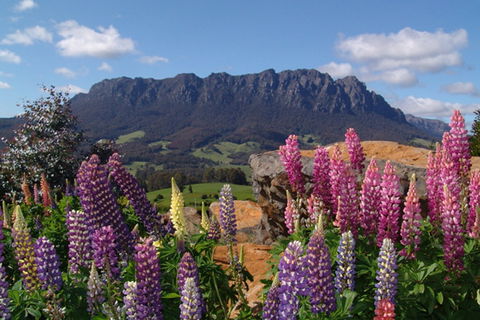 AAA Granary Accommodation - The Last Resort - Accommodation Resorts 0