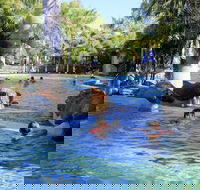 Big4 Aussie Outback Oasis Holiday Park - Accommodation Resorts