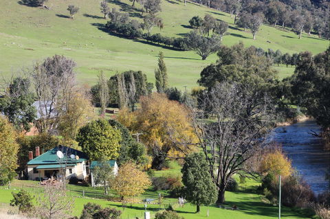Elm Cottage Tumut - Accommodation Resorts 1