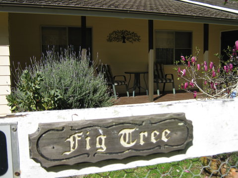 Figtree Cottage - Accommodation Resorts 0