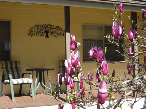 Figtree Cottage - Accommodation Resorts 1