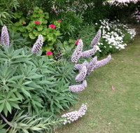 Padthaway Caravan Park - Accommodation Resorts