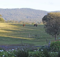 Wallaby Cottage - Accommodation Resorts