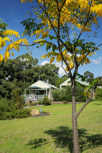 Stringybark Cottages - Accommodation Resorts 2