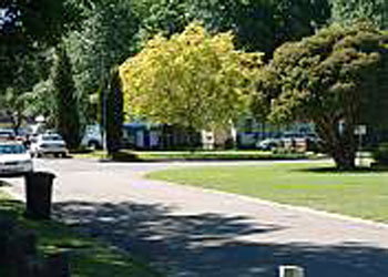 Mitchell Gardens Holiday Park - Accommodation Resorts 0