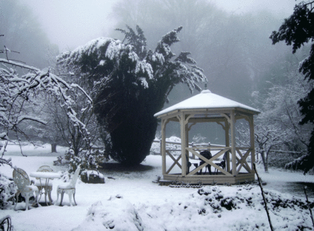 Arcadia Cottages - Accommodation Resorts 2