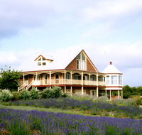 Serendipity Lavender Farm - Accommodation Resorts