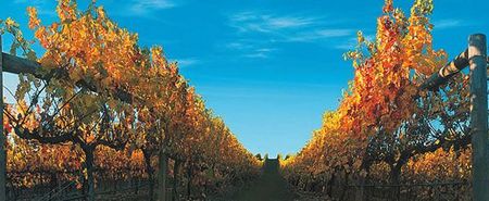 Nagambie Lakes Leisure Park - Accommodation Resorts 5