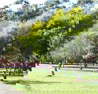 Otways Tourist Park - Accommodation Resorts
