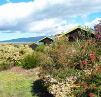 Black Cockatoo Cottages - Accommodation Resorts