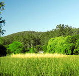 Waterholes Guest House - Accommodation Resorts
