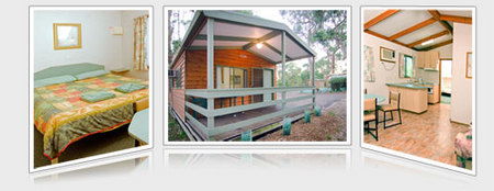 A Maze N Things Holiday Park - Accommodation Resorts 5