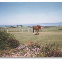 First Class Bed and Breakfast - Accommodation Resorts